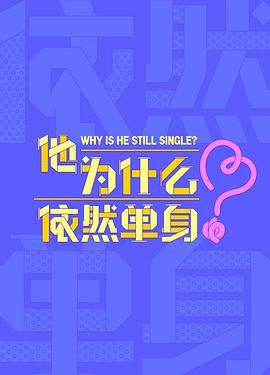 他为什么依然单身海报